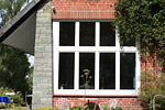 Fenster